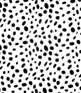 Roman Shade #373 (Black Dot)