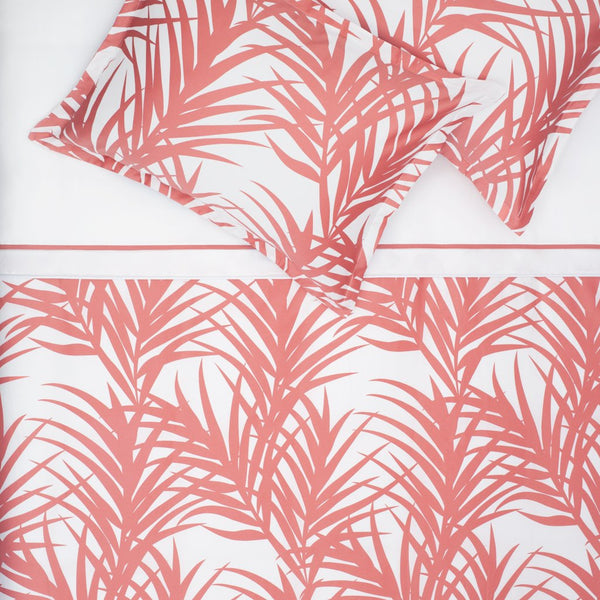 #C2d Laguna Coral  SHAMS