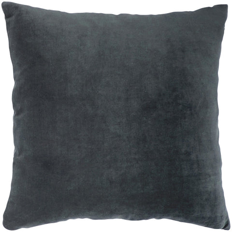 #C668  VELVET Pillow 20 x 20
