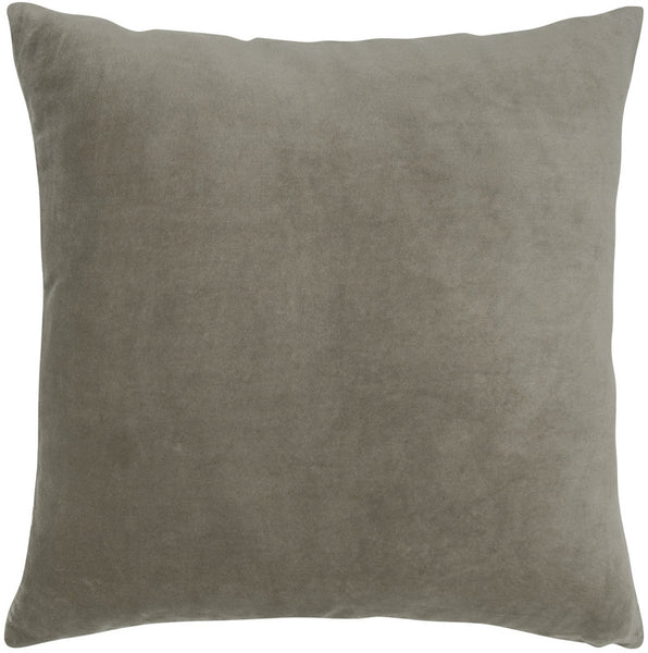 #C668  VELVET Pillow 20 x 20