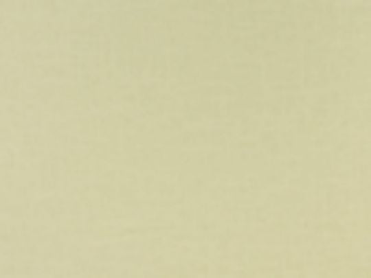 #1439 Antique White Linen