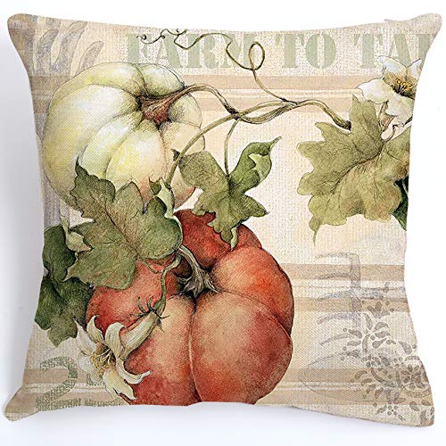 TP225 Happy Fall Ya'll Pillow